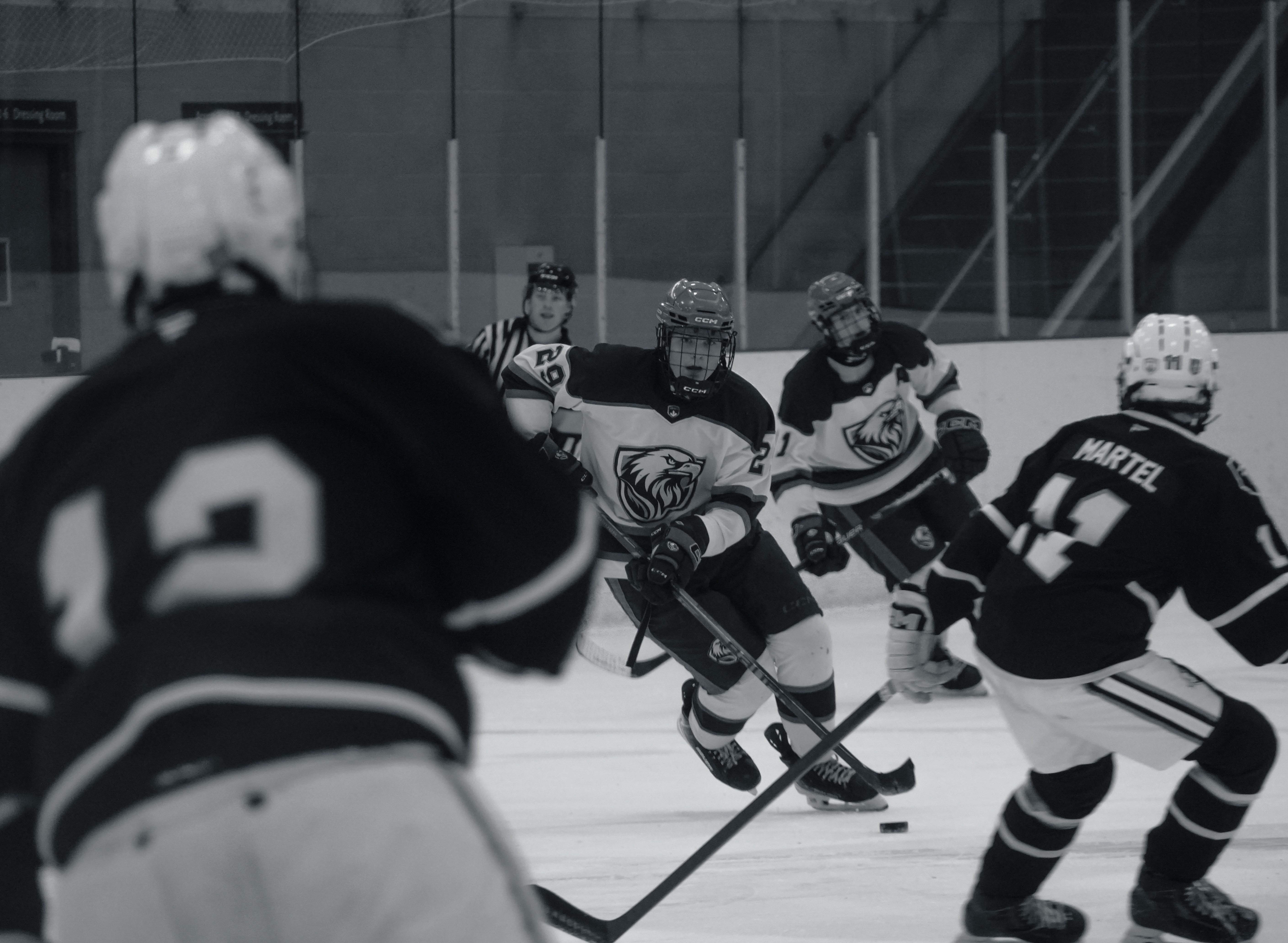Eagles Hockey game action